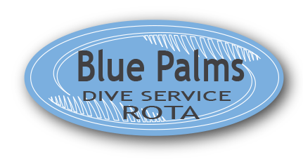 Blue Palmsのロゴ画像